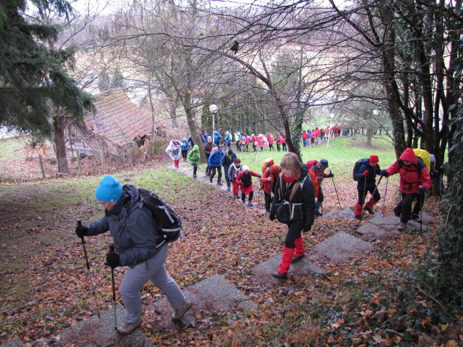 Kraca varijanta Ludbreska obilaznica